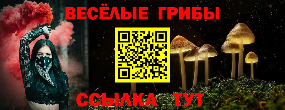 Галлюциногенные грибы прущие грибы  Вход с VPN  Лыткарино 